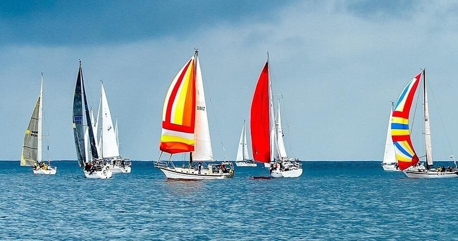 Colorful sailboats racing on open ocean during sunny regatta
