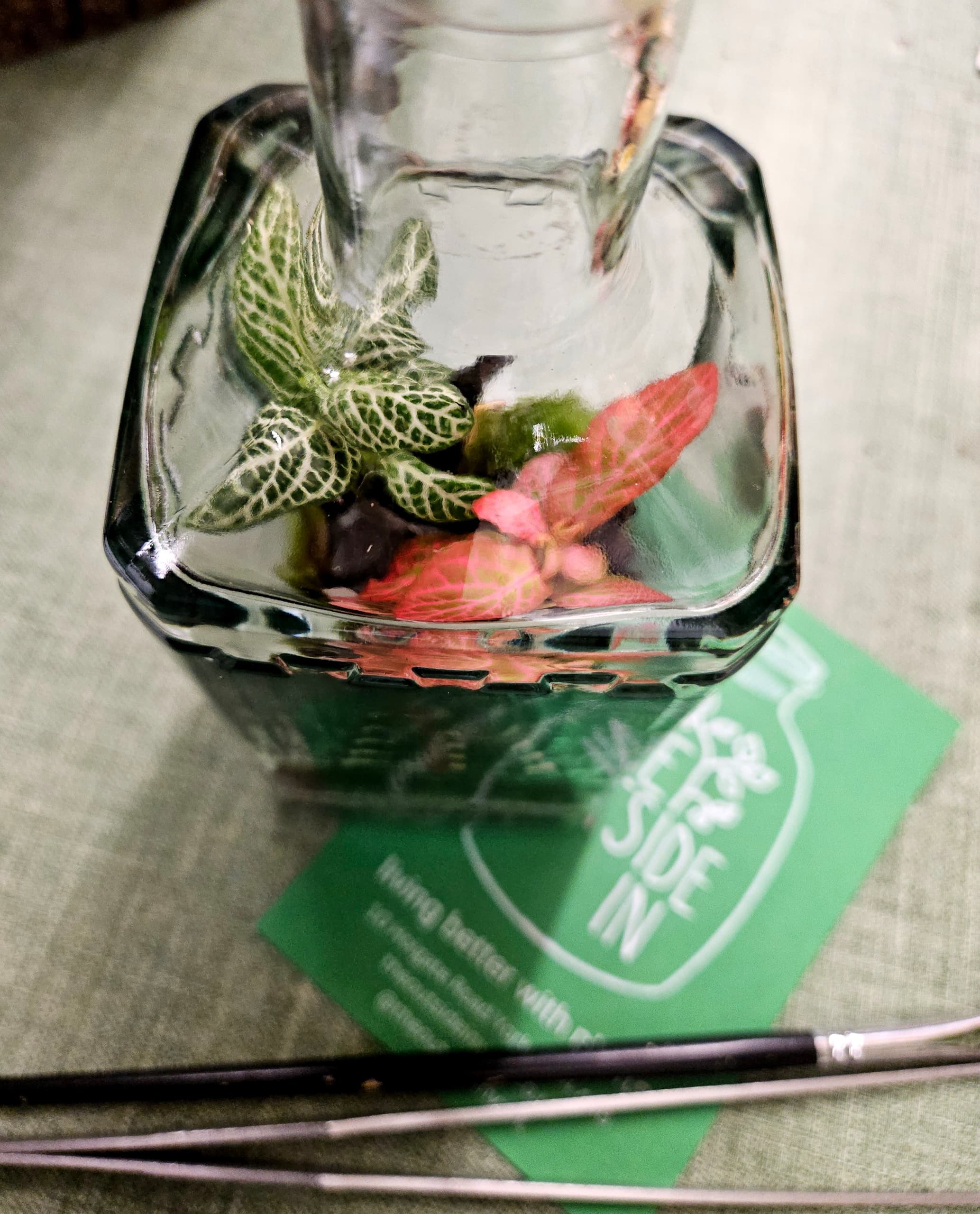 York Gin Bottle Terrarium Workshop: Build a Mini Tropical Garden with Alice