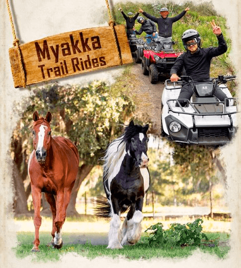 ATV & Horseback Riding at Myakka Trail Rides, Florida