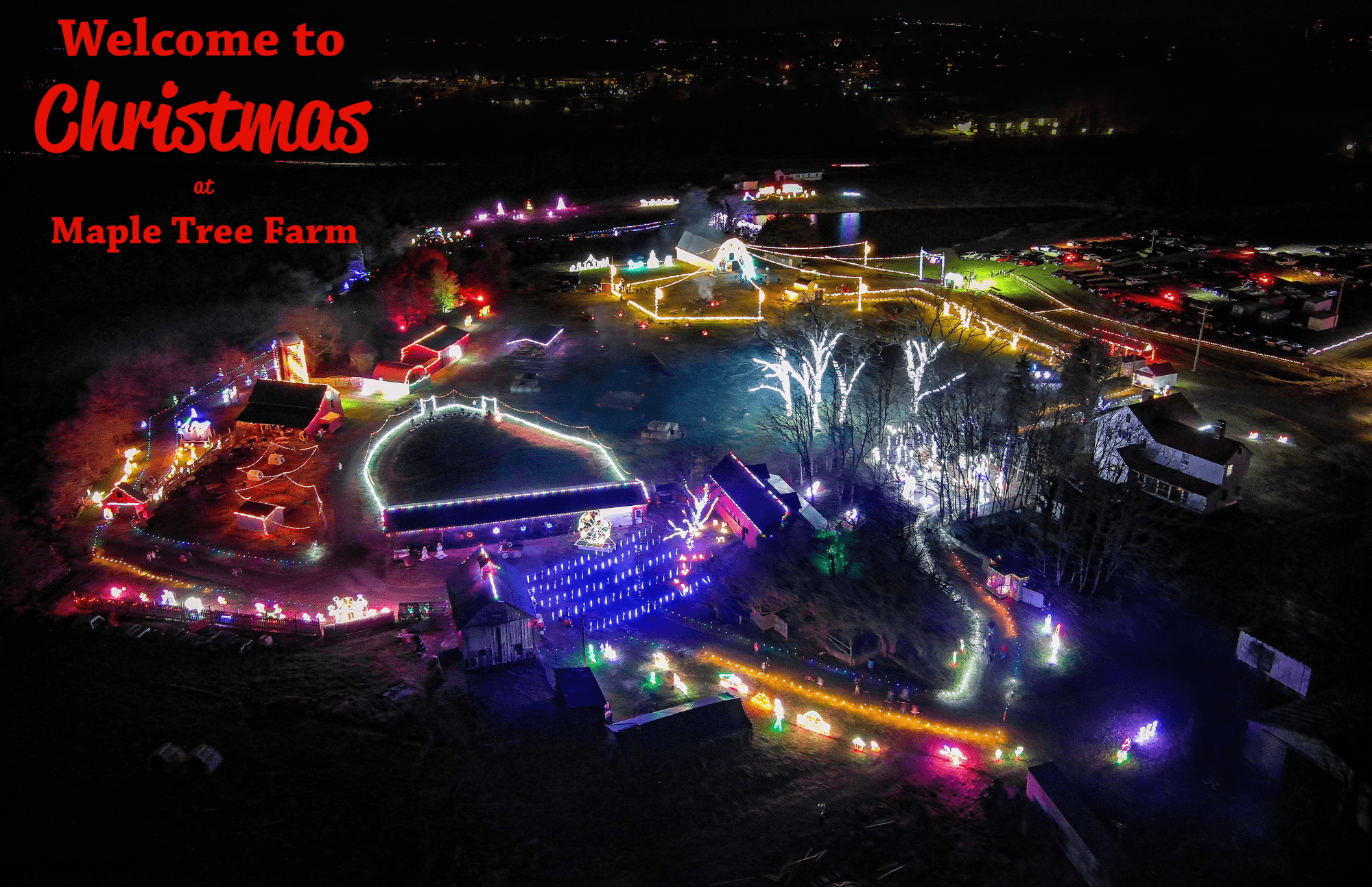 Aerial nighttime Christmas light display at Maple Tree Farm drive