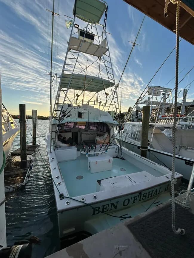 Key Colony Beach Offshore Wreck & Reef Fishing with 39-Footer Charters photo 3