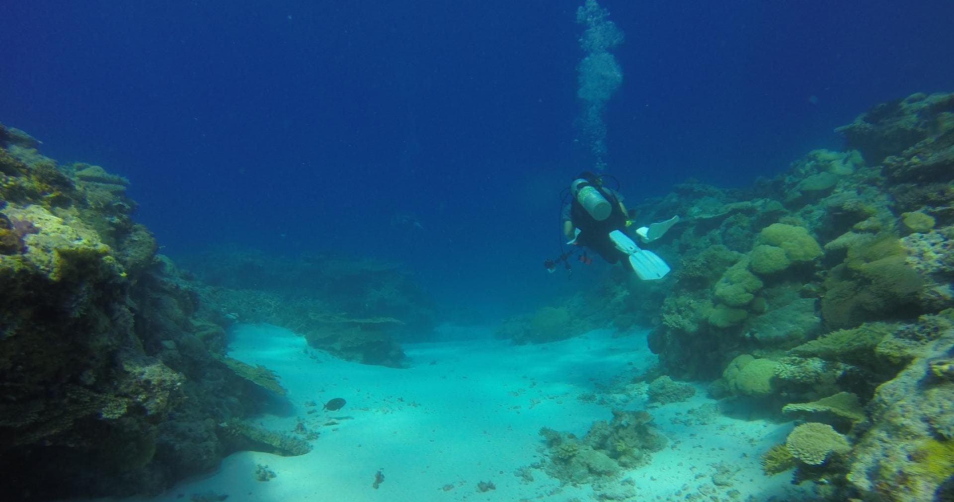 Kona Shore Divers team