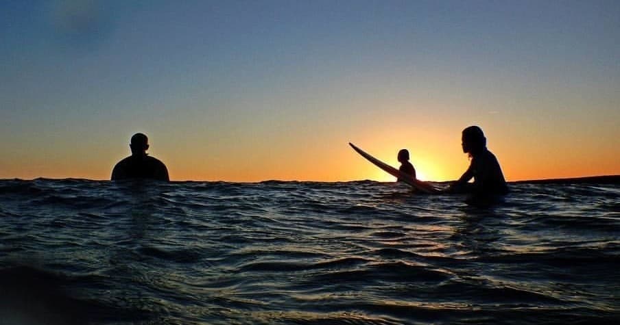 Surfers silhouetted paddling in ocean at golden sunset