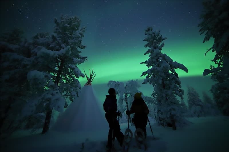 Winter Wildlife & Aurora Snowshoe Tour at Northern Lights Village