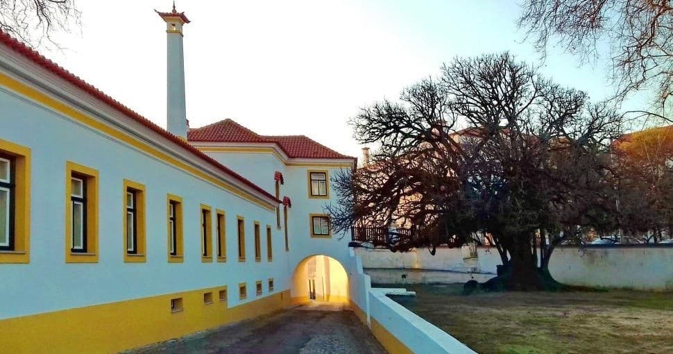 Water-Activities & Maritime Tour in Ílhavo