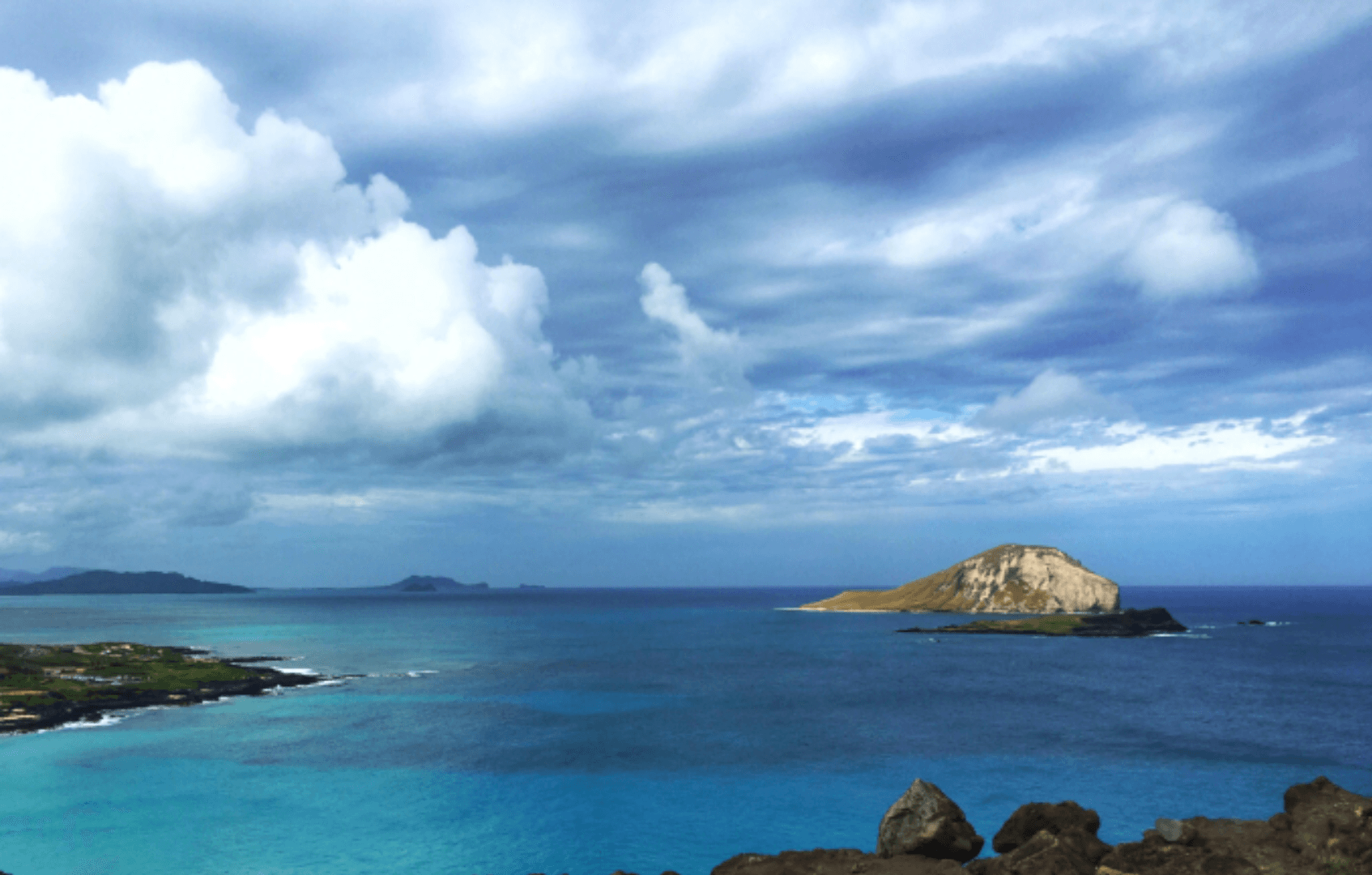 Half Day Circle Island Tour by Hawaiian Circle Island Tours in Honolulu