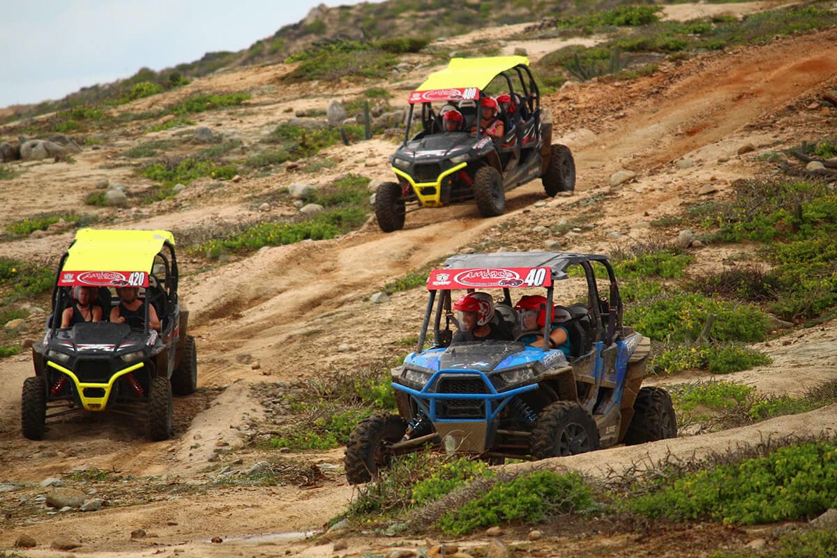 Land & Water Adventure at Migriño Razor, Cabo San Lucas
