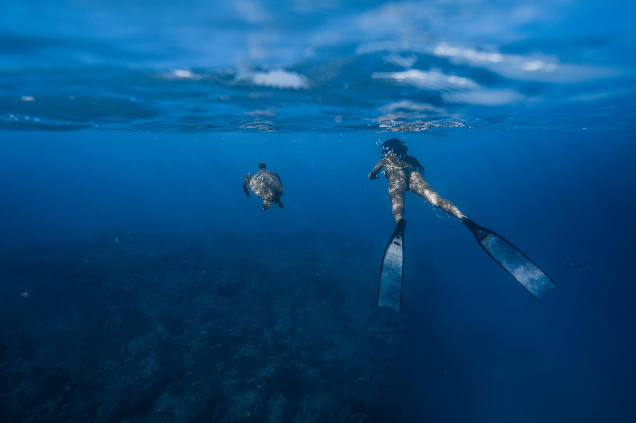 Afternoon Scuba & Snorkel Adventure in Islamorada, FL