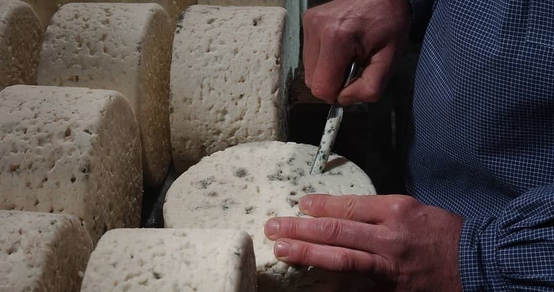 Roquefort Cheese Cellars Tour with Farm Experiences & Tours