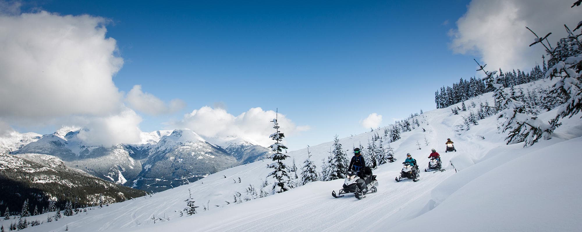 Explore Cougar Mountain: Ultimate Winter Adventure with TAG Day Ticket in Whistler