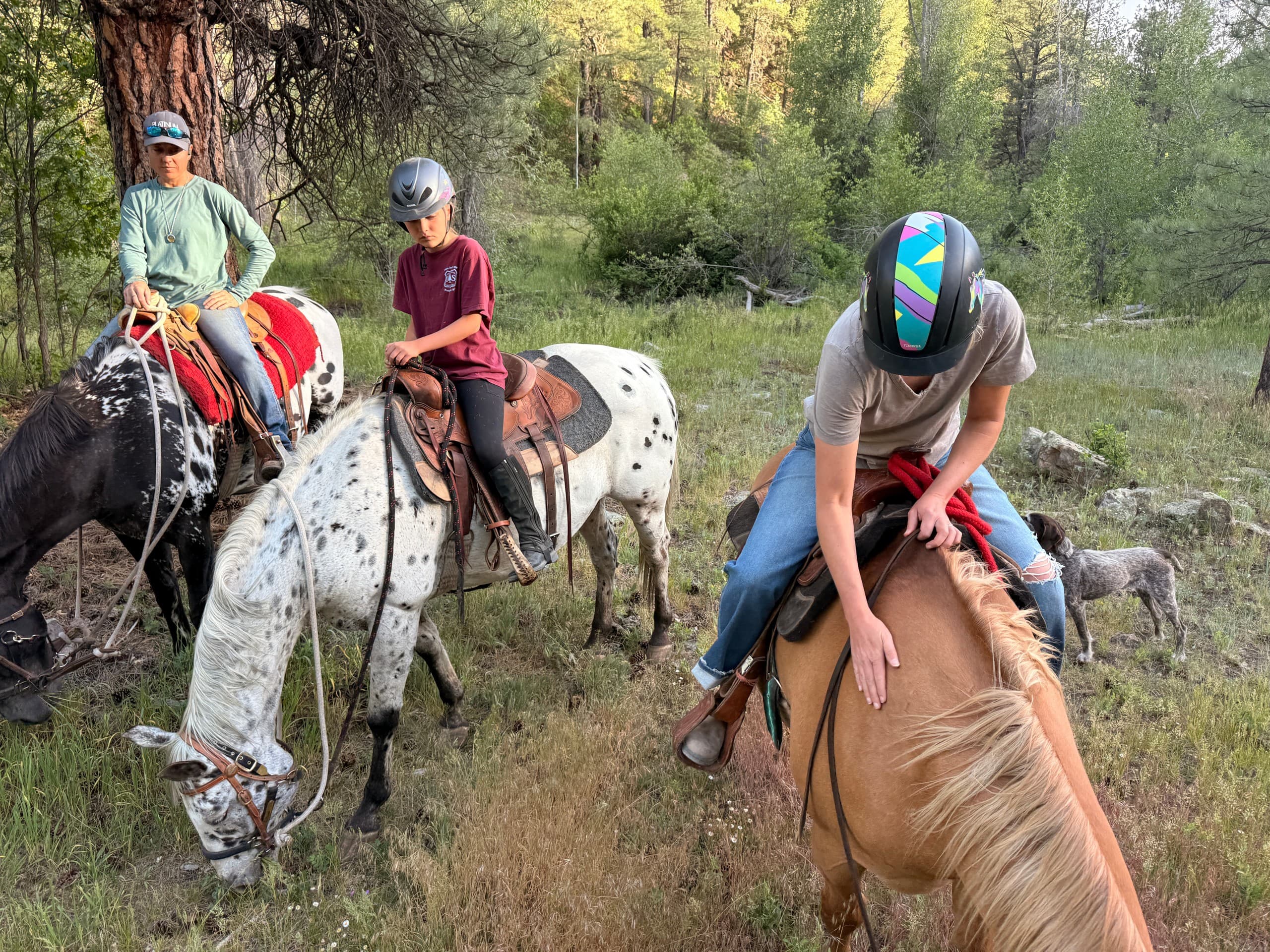 Trail riders mounting and adjusting tack in shaded forest area