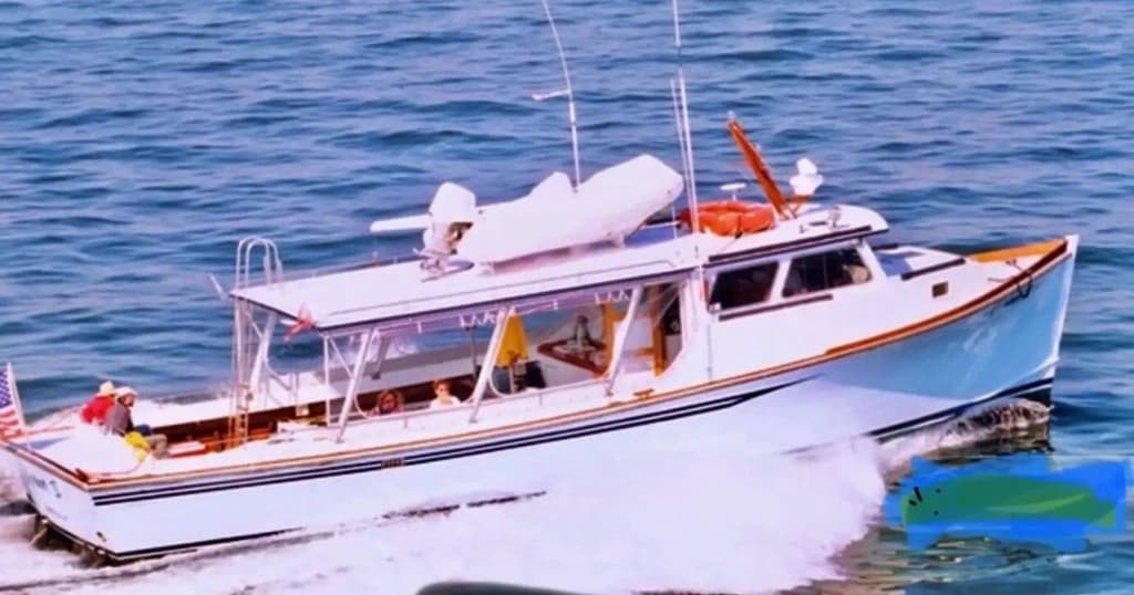 Mid-Day Harbor Tour | Boat Tour in Newport, Rhode Island