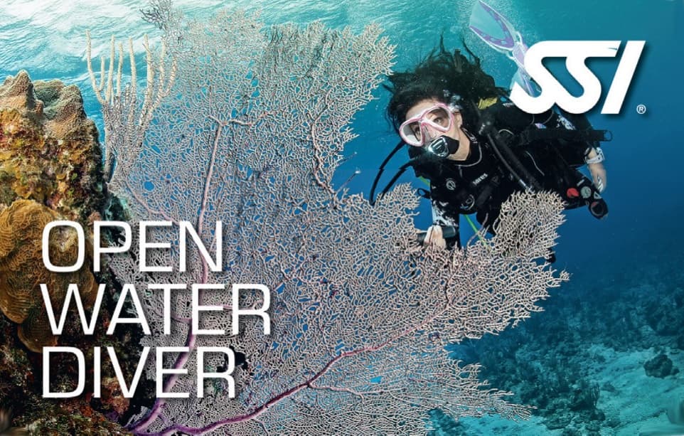 Scuba divers entering clear coastal waters for a guided open-water dive