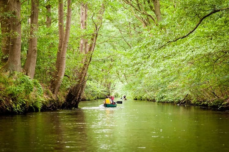 Water Activities: Heide Kanu - Paddling the Luhe River in Hamburg