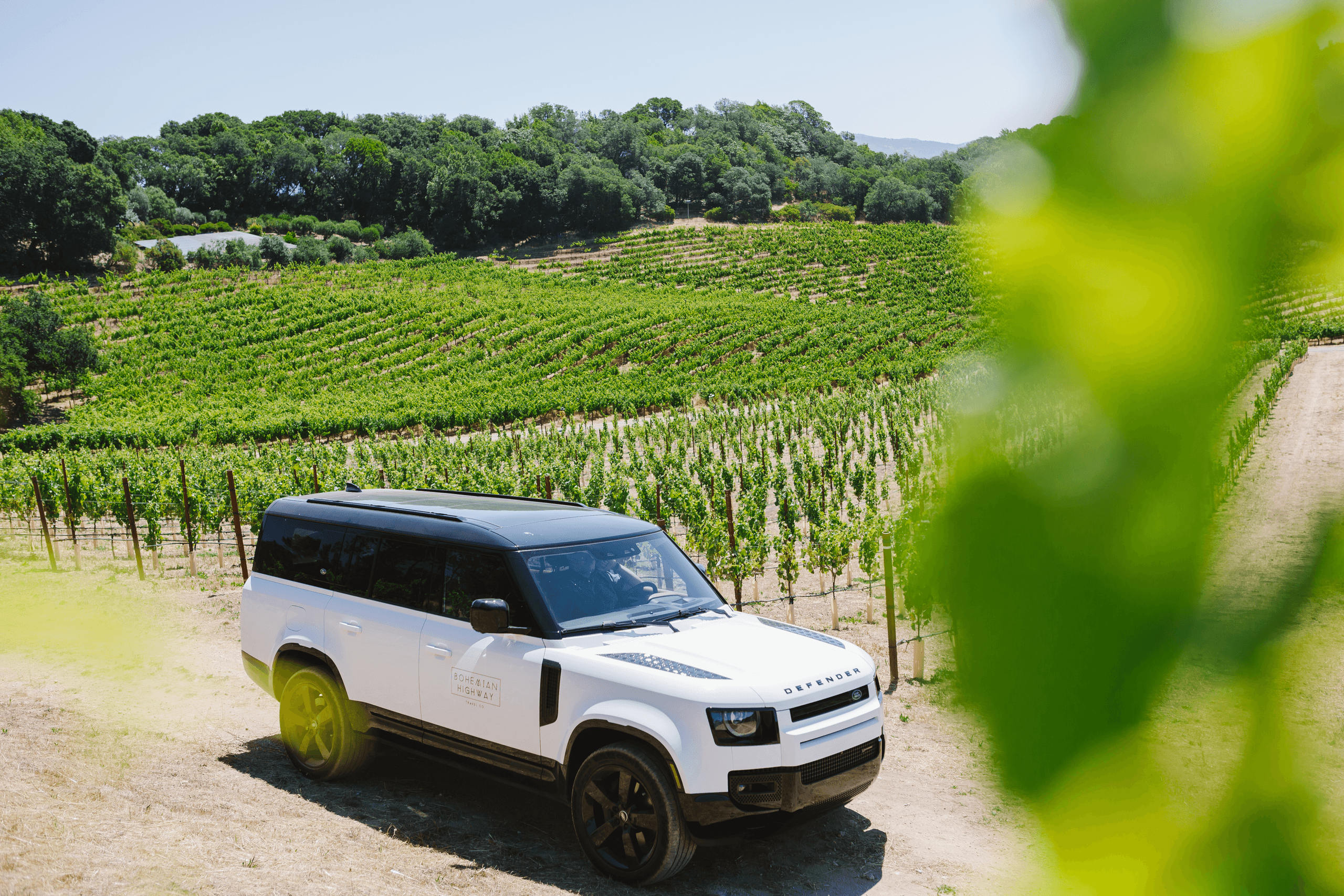 White off-road SUV parked by vineyard rows on dirt road
