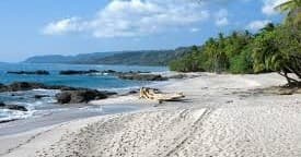 White sandy tropical beach with rocks and palm-fringed shore