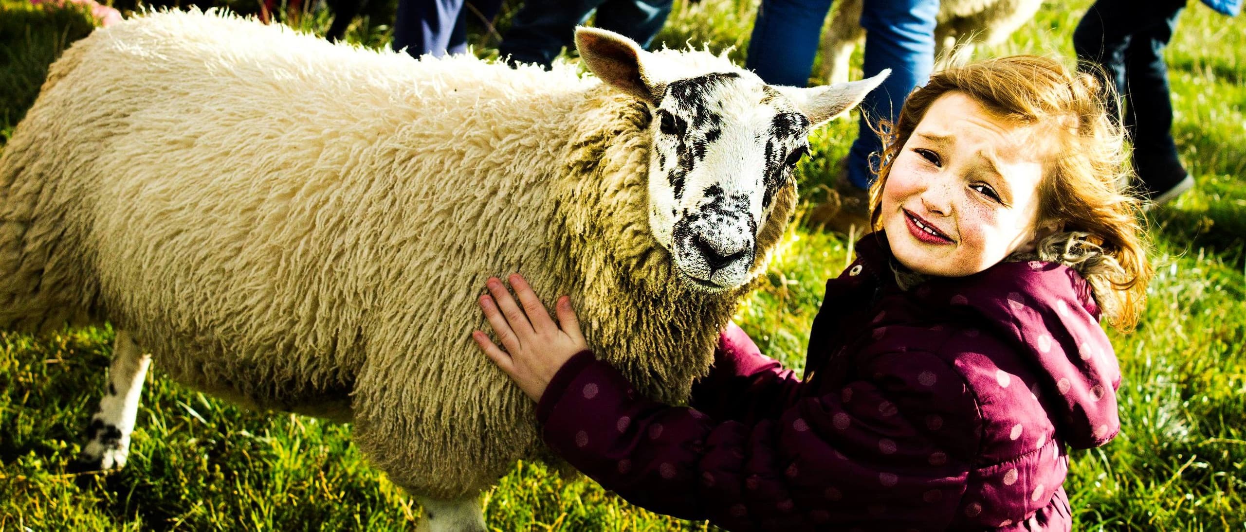 Farm Animal Encounters at Newton Farm Holidays & Tours