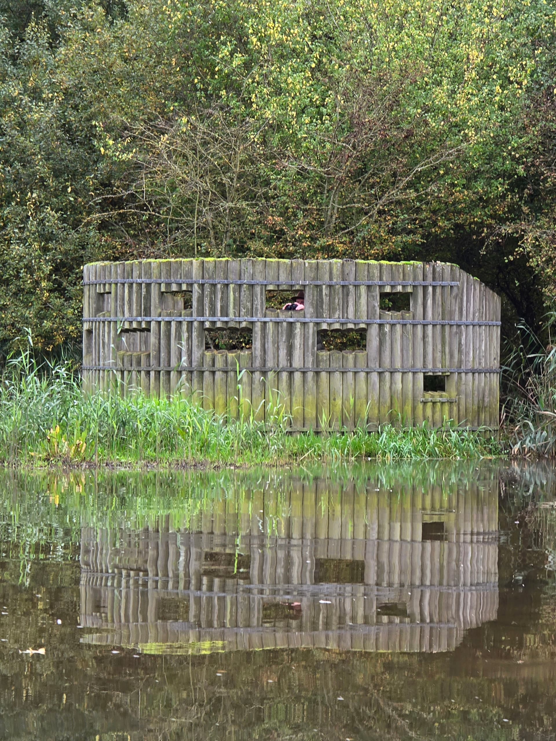 Jubilee River Safari: 8.5km SUP Wildlife Paddle from Dorney to Slough Weir photo 2
