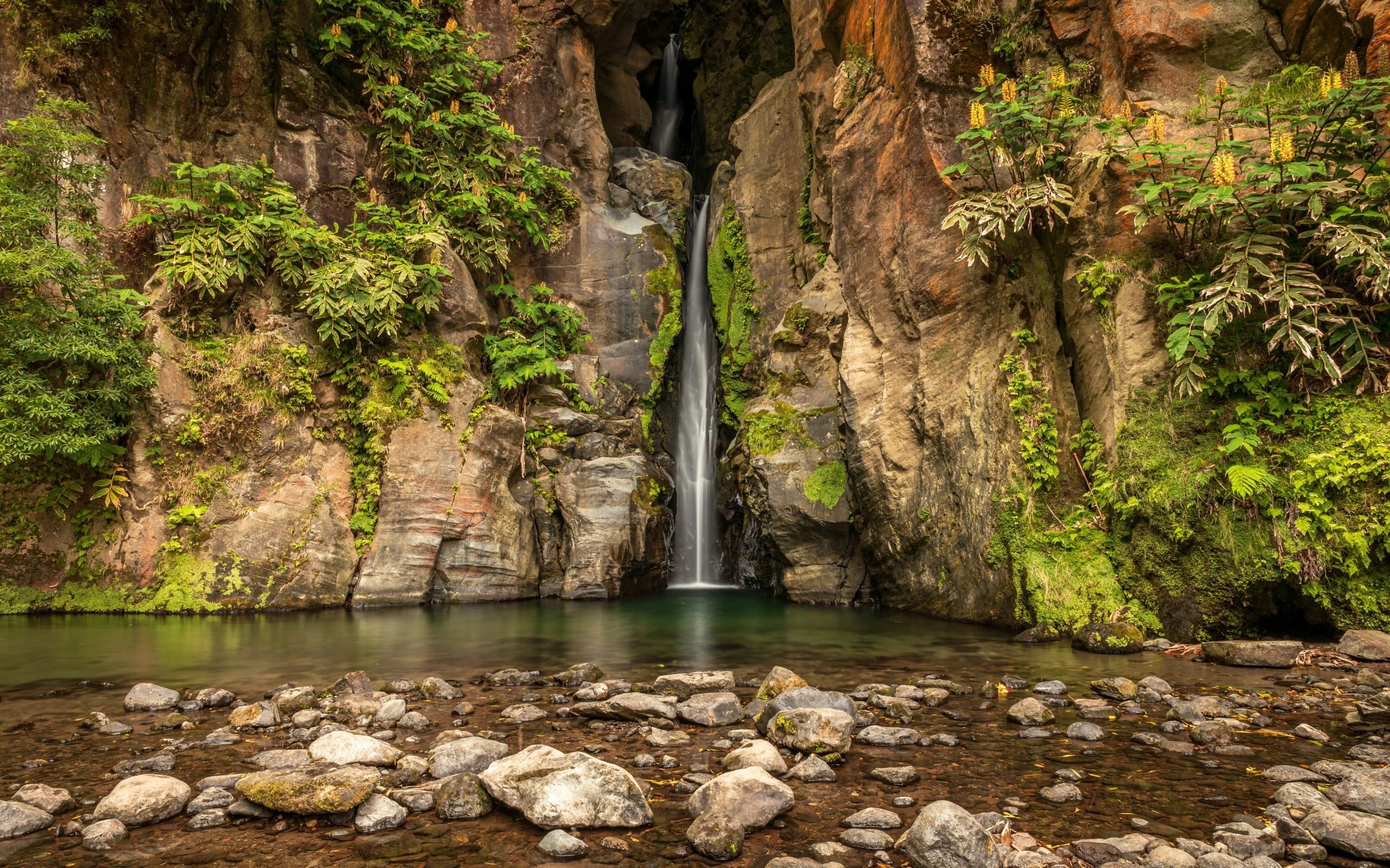 Half-Day Hike at Salto do Cabrito with Futurismo Azores