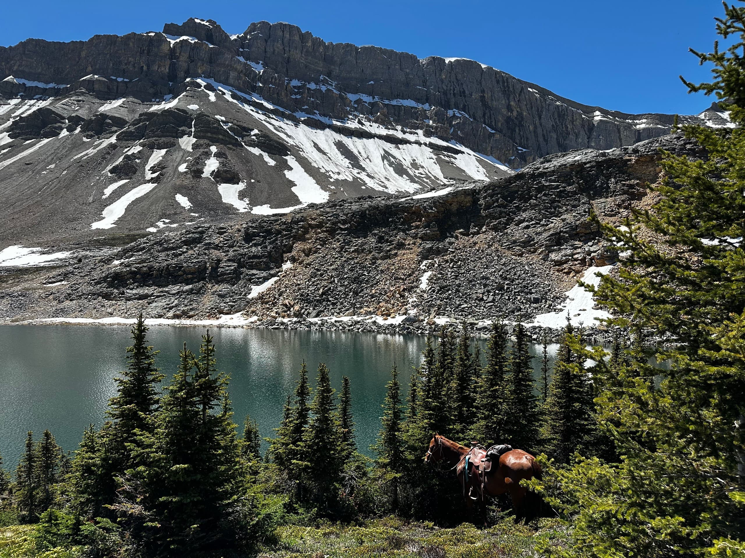 Helicopter Horse Trek & Backcountry Overnight in the Canadian Rockies photo 1