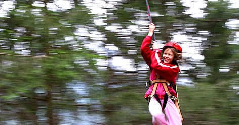 Zipline rider soaring through spruce forest for adrenaline rush