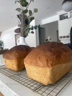 Beginner Sourdough Workshop in Oshawa: Hands-On Class with Take-Home Starter photo 3