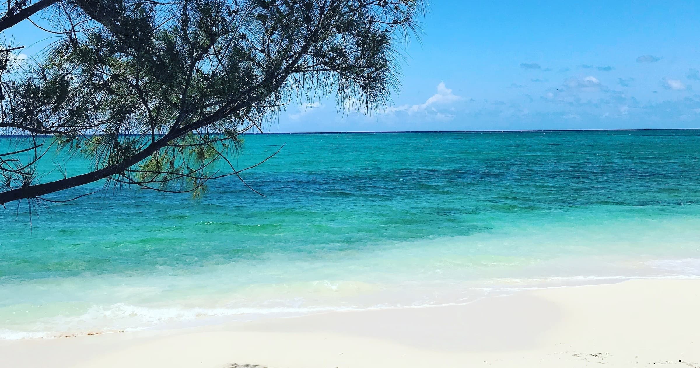 Flamingo Yacht Charters fleet