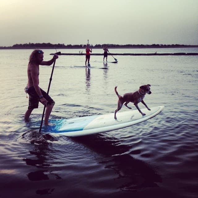 Dog Paddle Water Activities for You and Your Dog in Grapevine