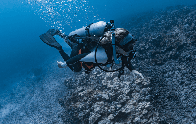 Water-Activities: Lokahi Scuba's Private Dive Adventure