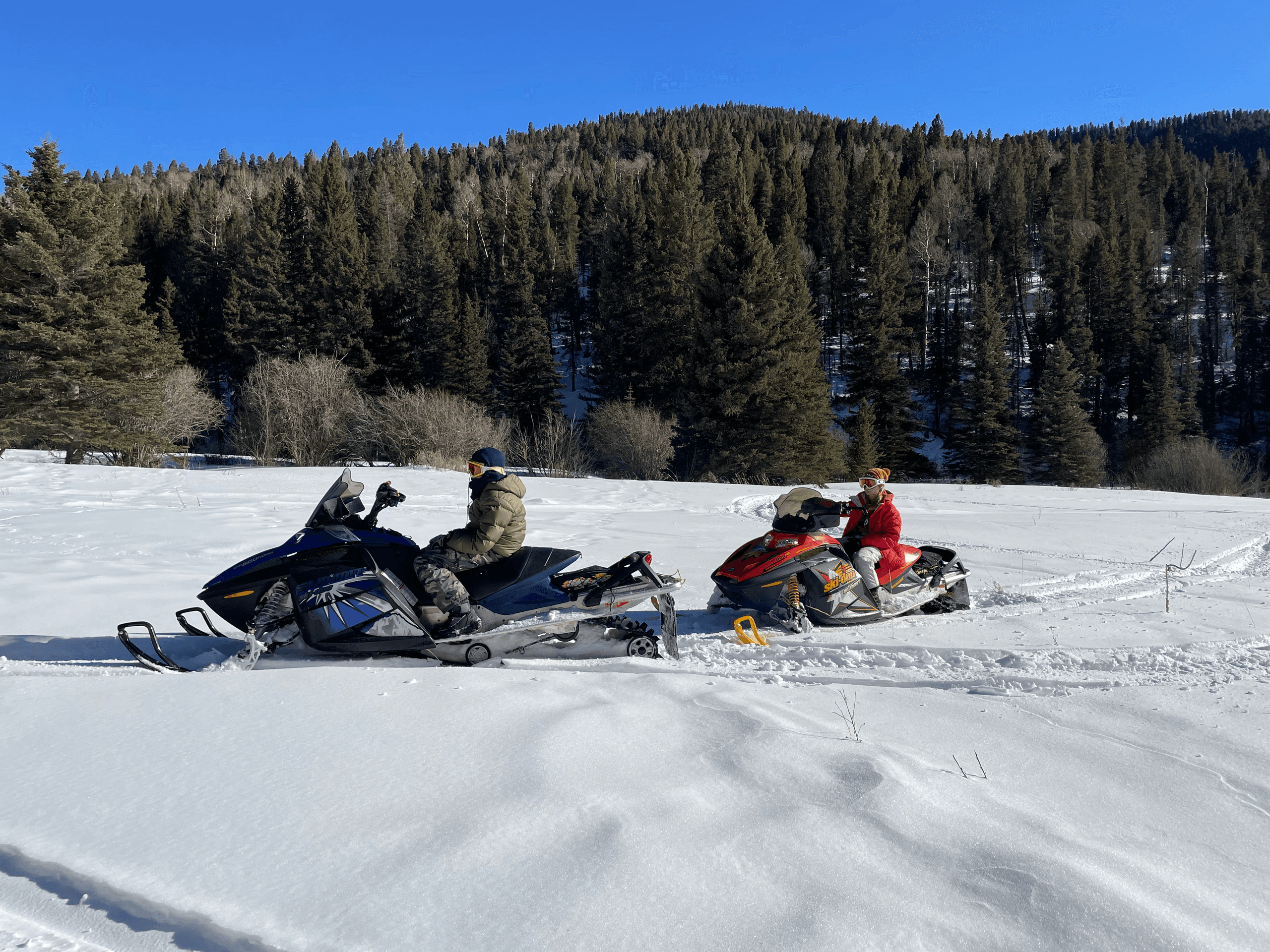Five Day Snowmobile Rental | Snowmobile in Lead | 