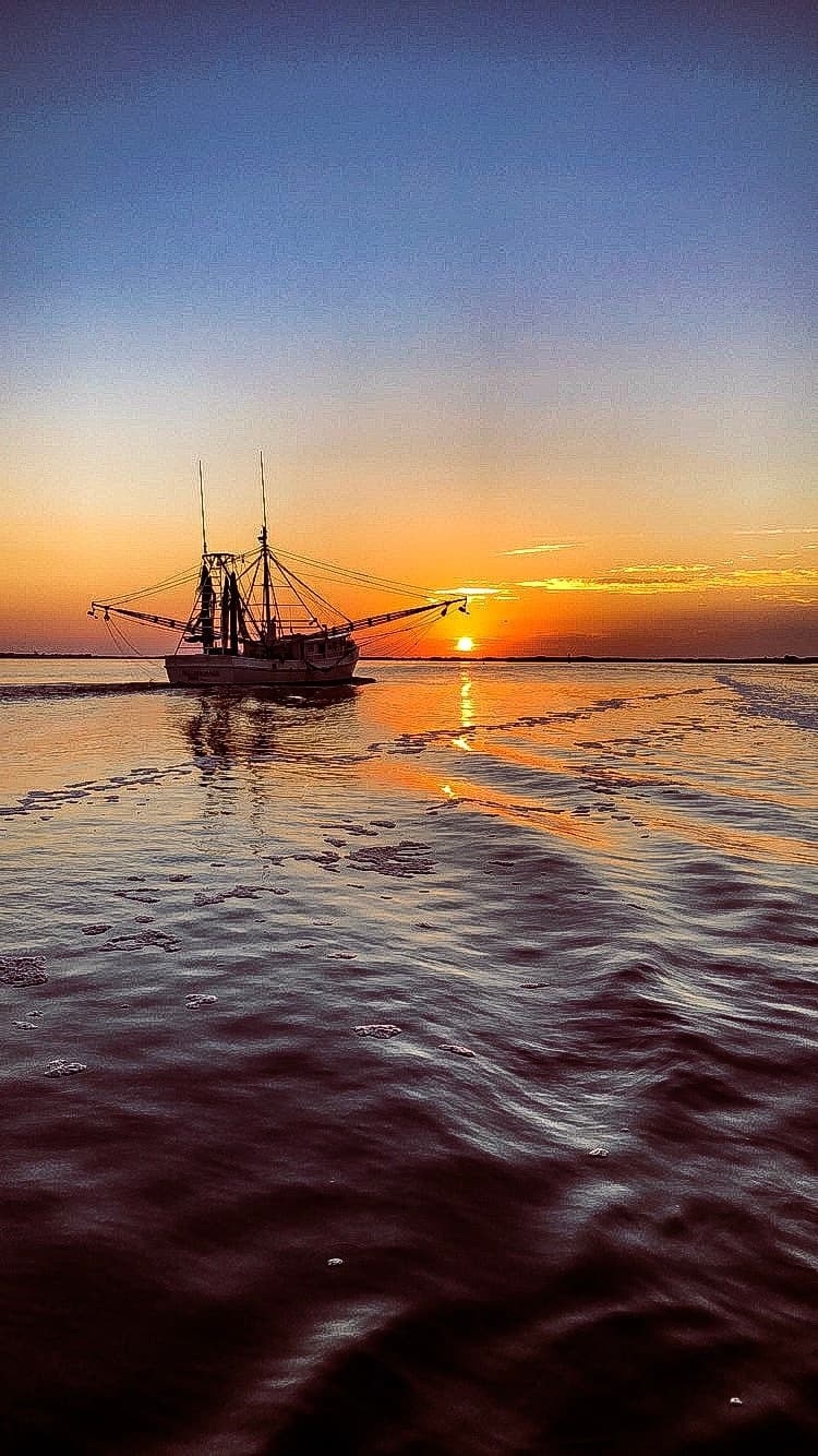 3 Hour Evening Fishing Trip in North Myrtle Beach, SC