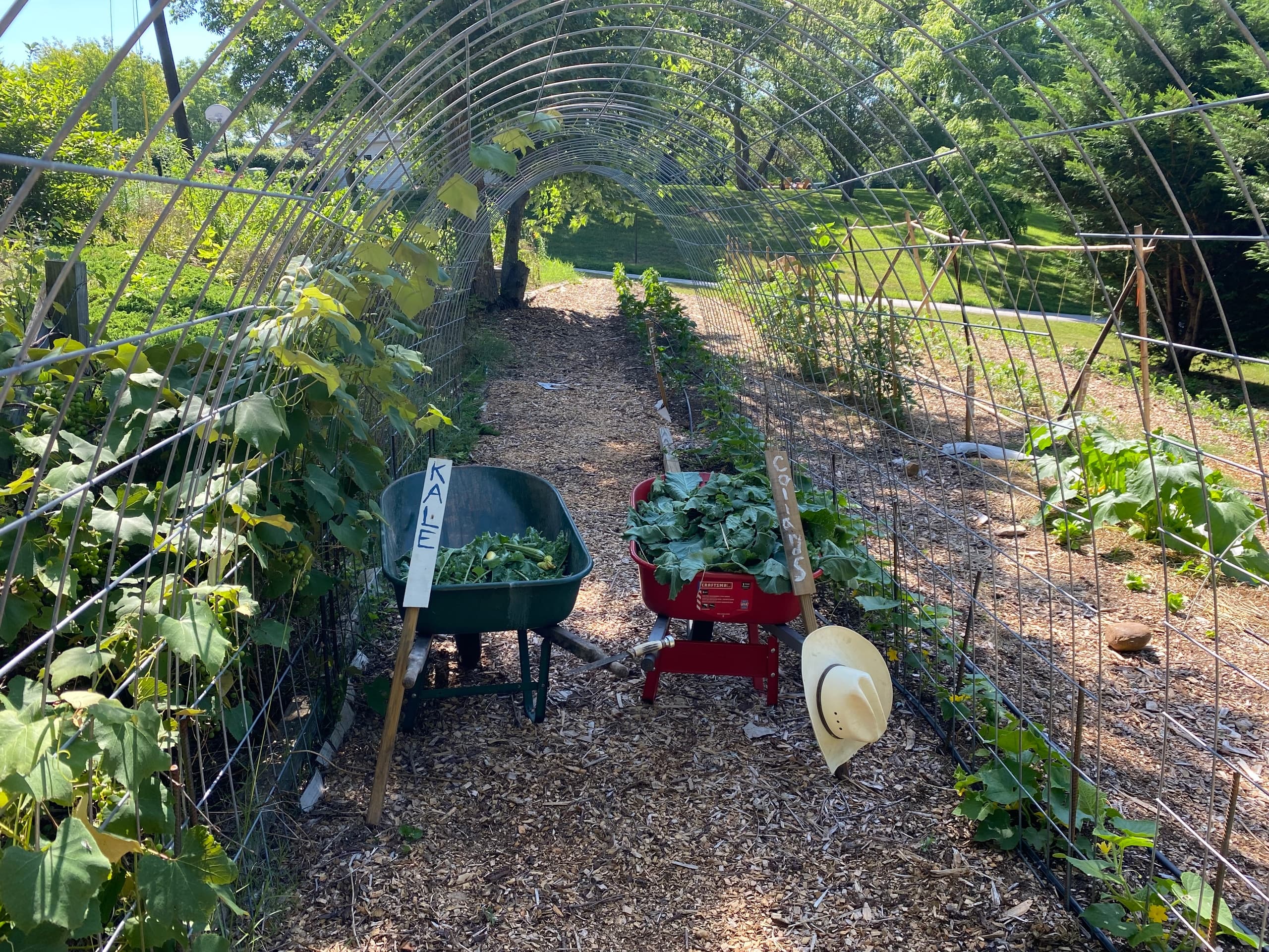 Asheville Community Garden Tour with Wander Wagon Tours & Realty