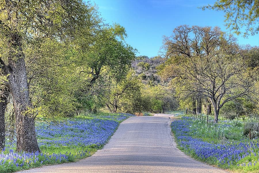 CTA Section Background Image