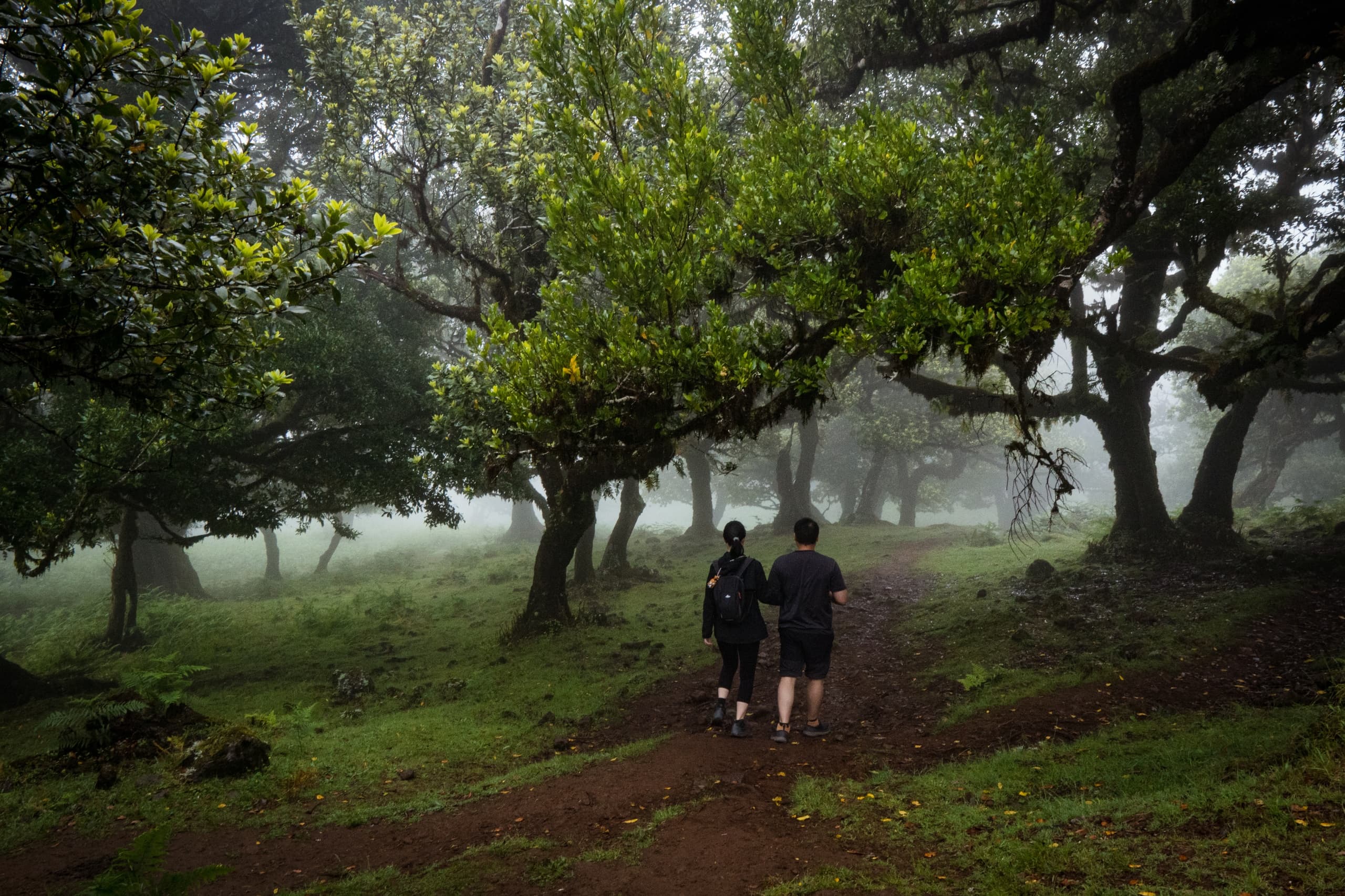 Hit the Road Madeira’s West 4x4 Tour: Coastal Jeep Adventure photo 1