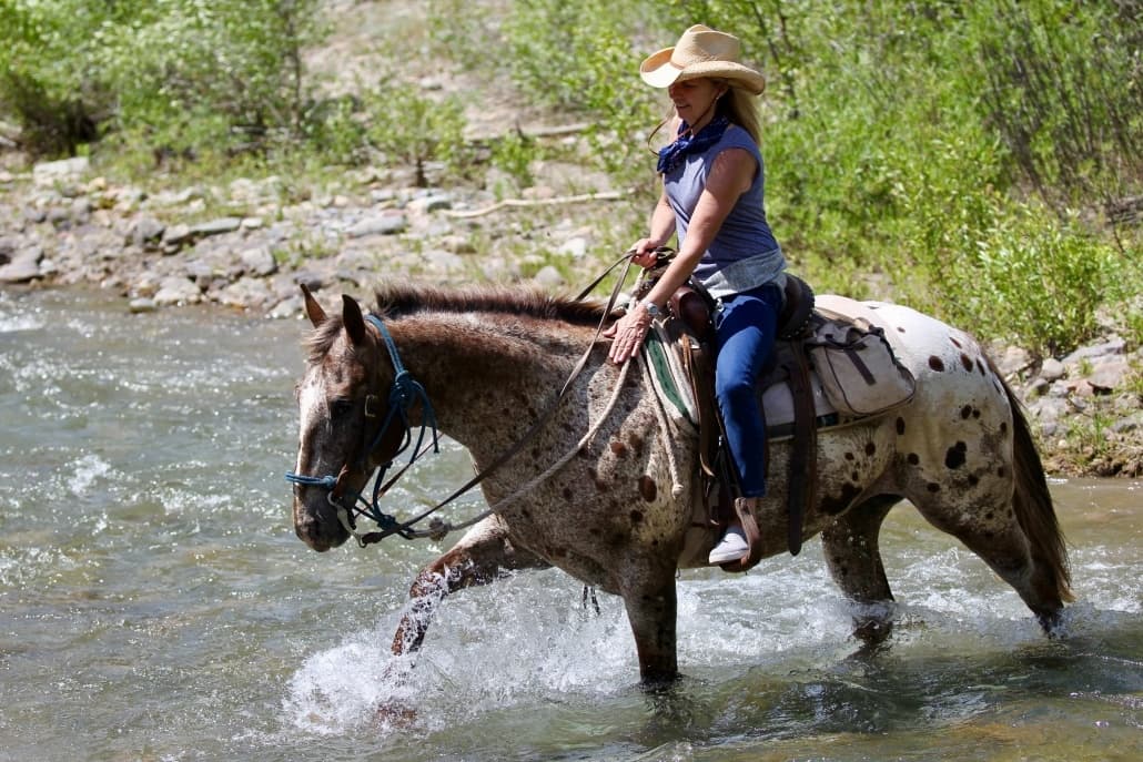 Willow Creek Horseback Rides team