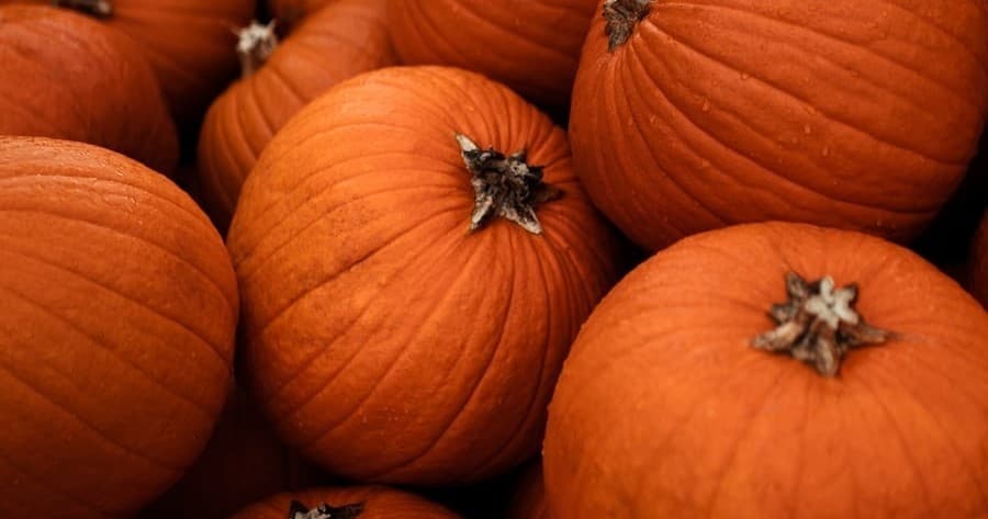 Kids Halloween Train Ride in La Porte: Homeschool Monday at Hesston
