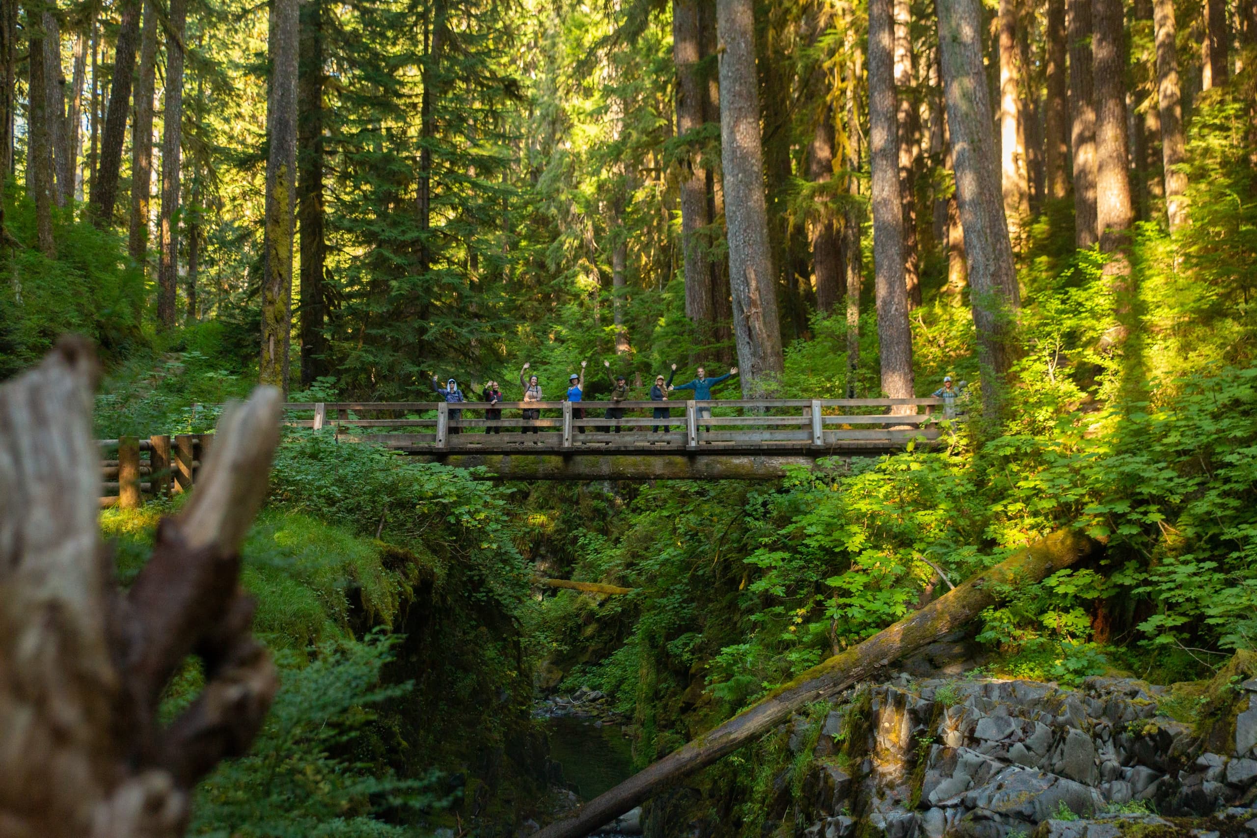 Backpacking the Hoh: Queer Mountaineers Olympic Rainforest Adventure