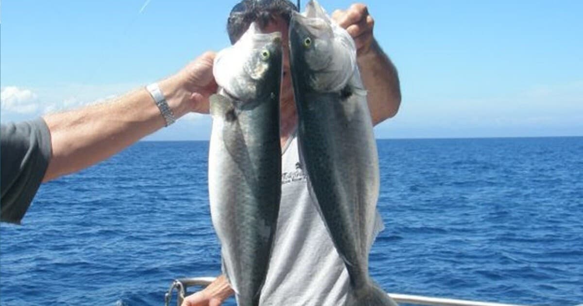 Snapper Fishing Adventure with Hooked on Barrier