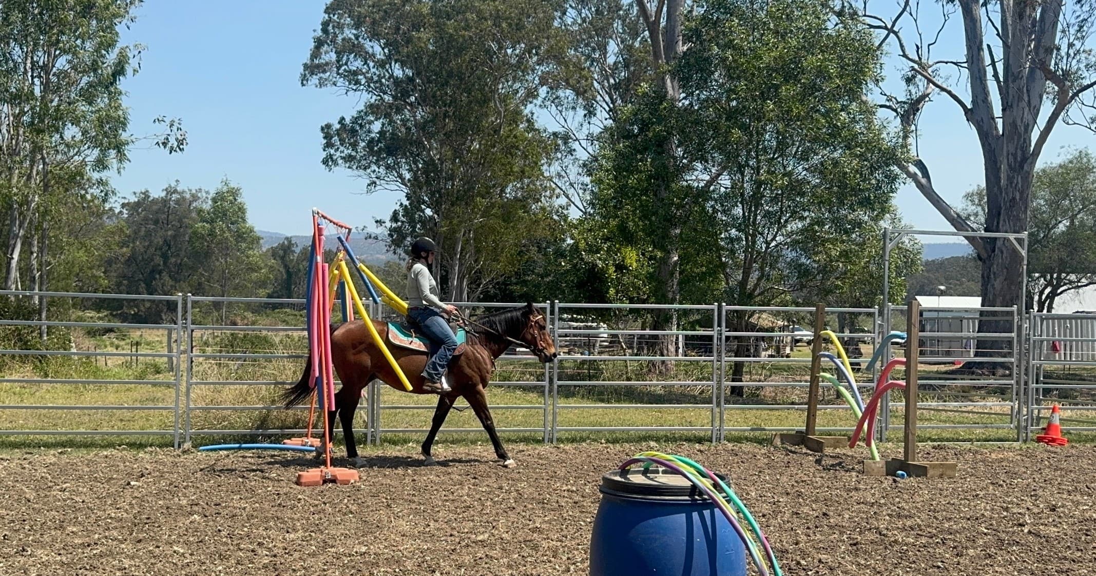 Obstacle Training Sessions Near Mulgowie: Build Confidence With Practical Horsemanship