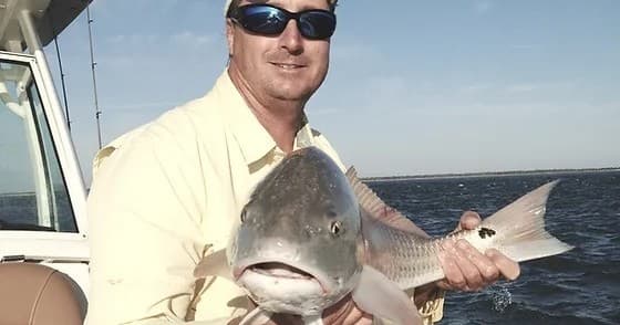 Water Activities & Reel Fish Finder Charters in Charleston