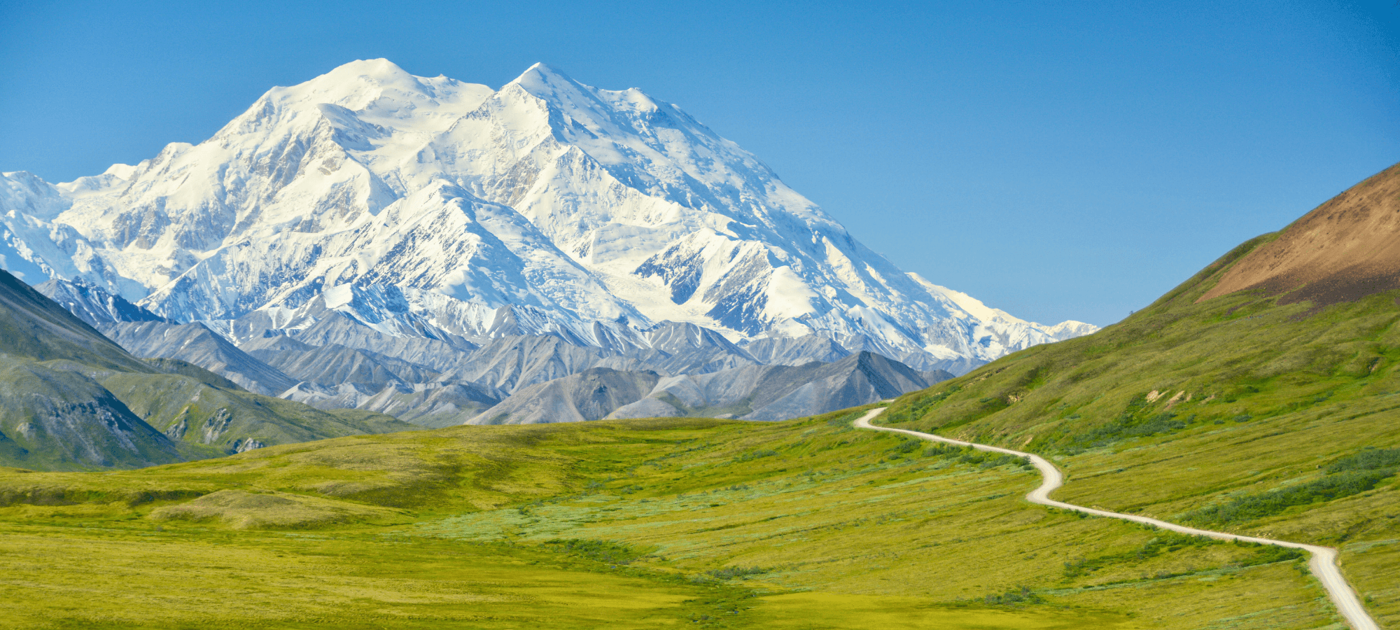 Denali-in-a-Day Tour