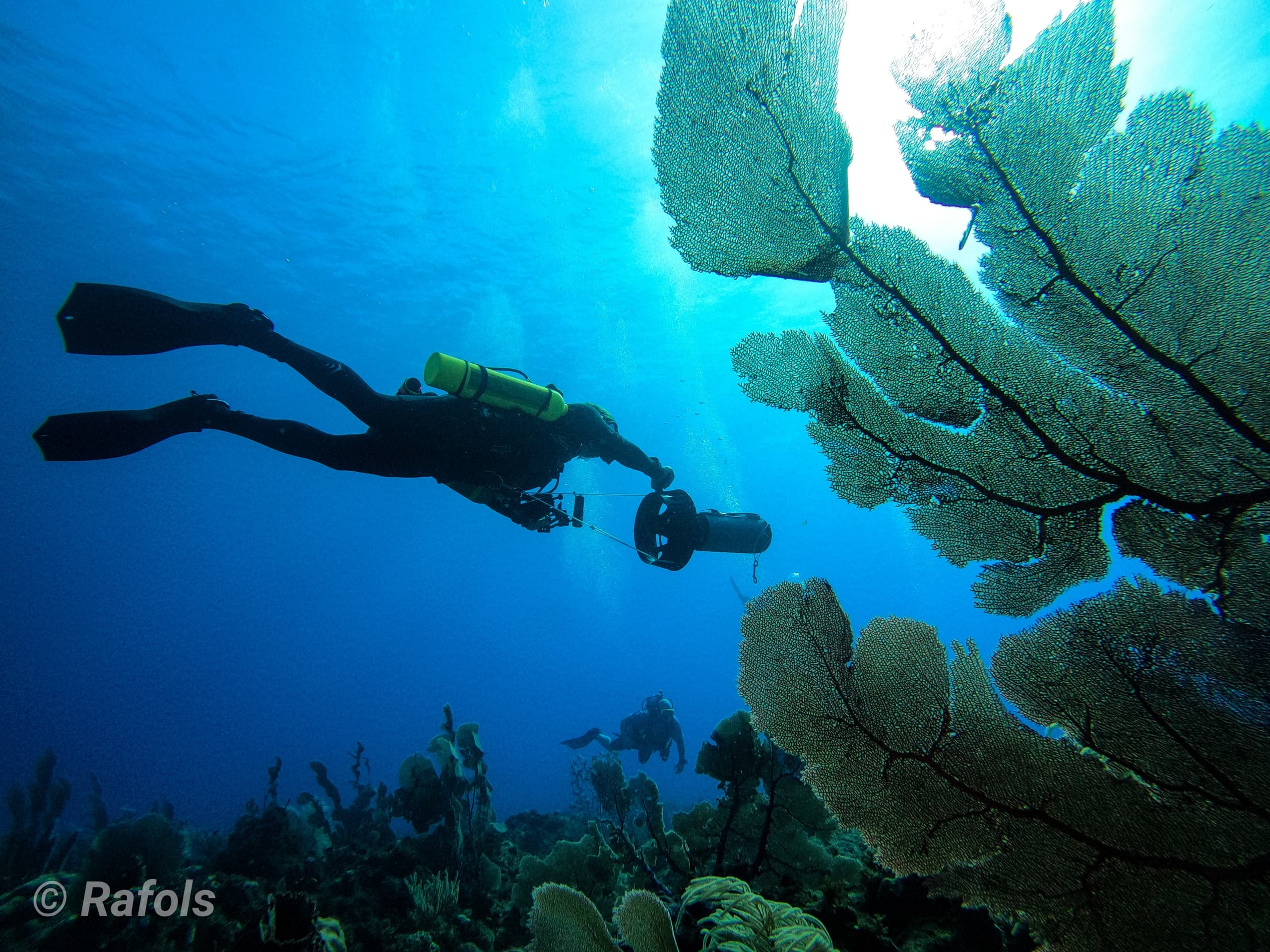 Diver silhouette swimming past coral reef in tropical sea