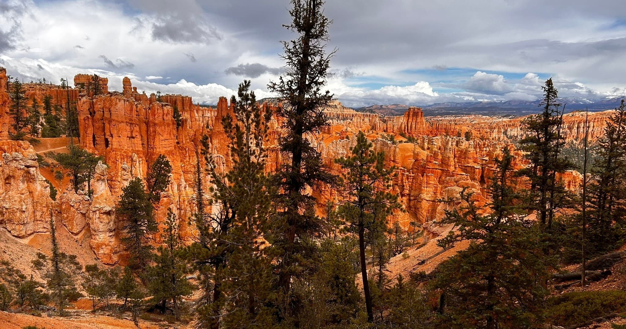 Into the Hoodoos: A 4.5-Hour Bryce Hiking Tour Through Amphitheaters photo 4
