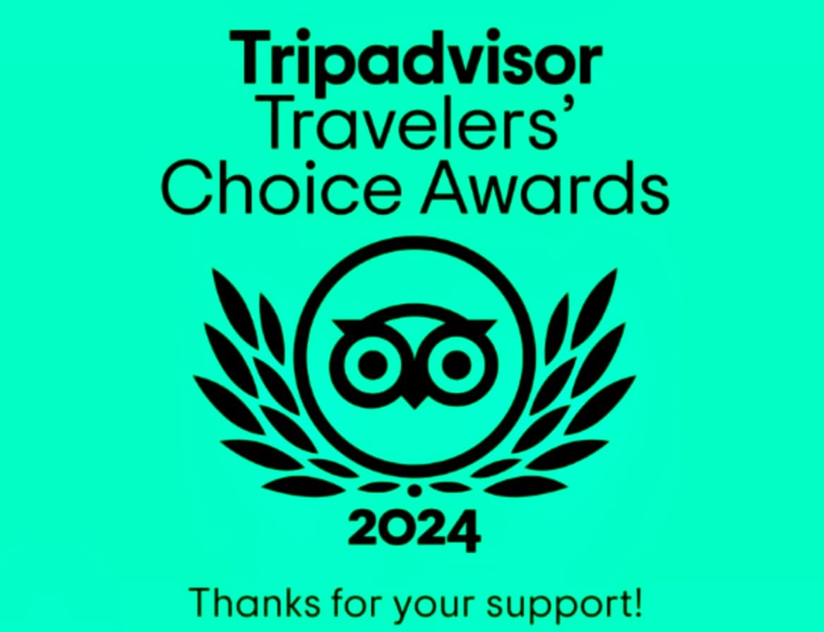 Tripadvisor Travelers Choice award badge graphic for 2024