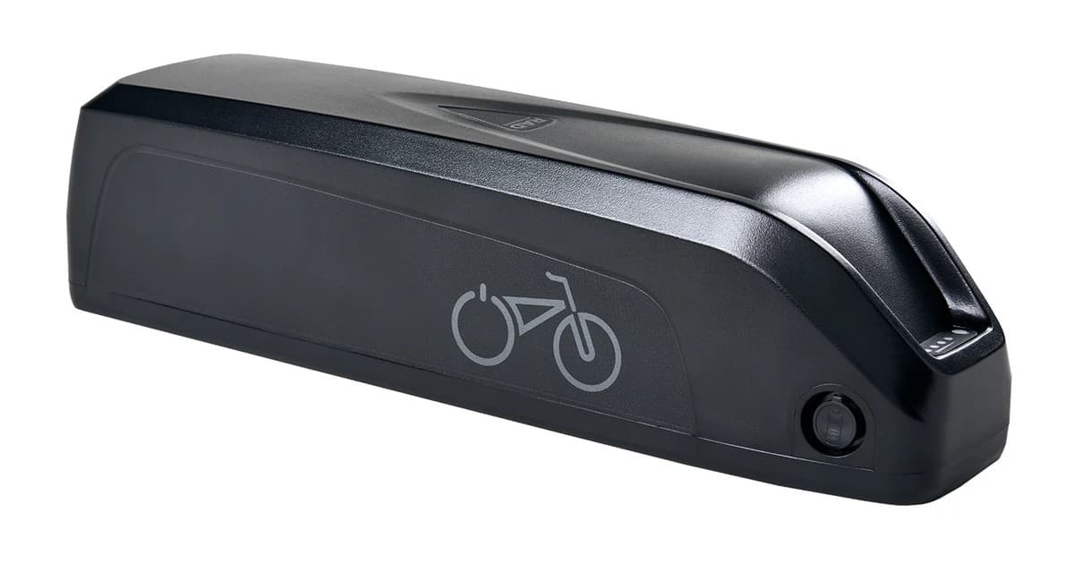 E-Bike Extra Battery Adventure with Door 2 Door E-Bike Rentals in Jackson