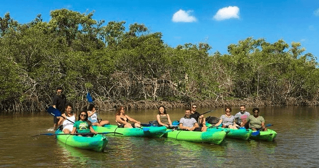 Cocohatchee River Kayak & Paddleboard Rental by All Water Excursions