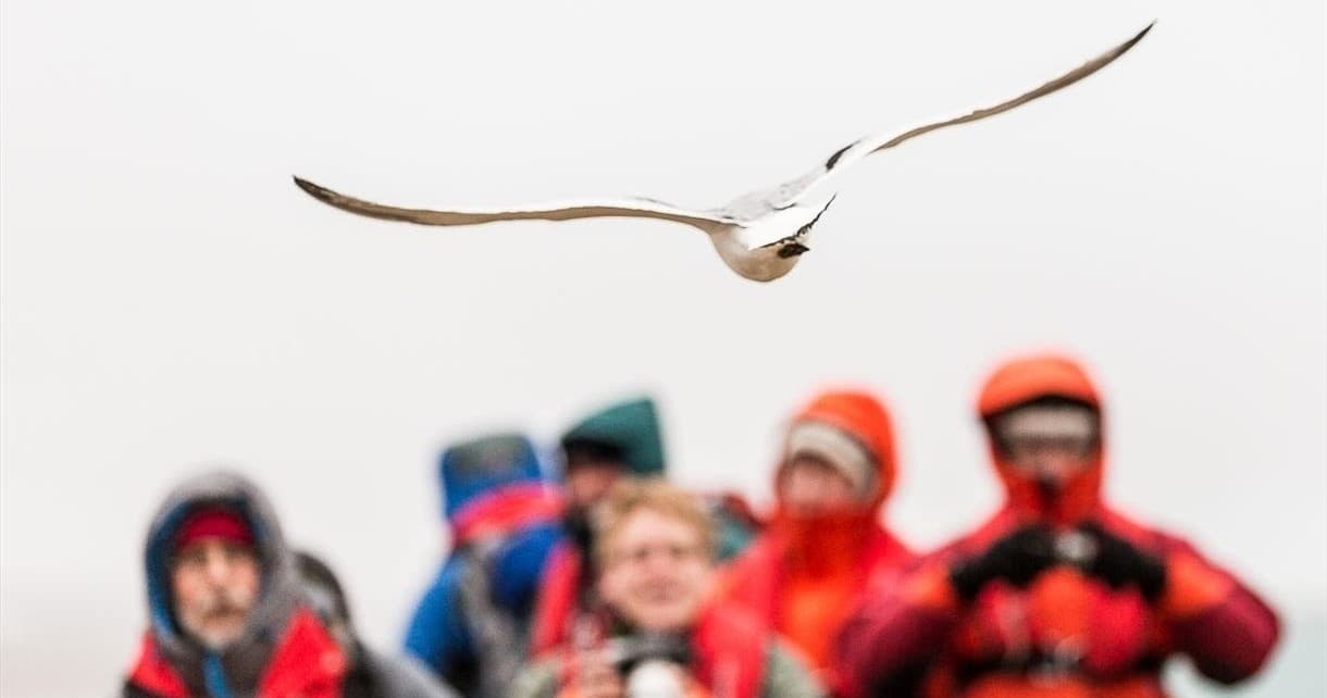 Guided Phototour with Rana Itinerans in Longyearbyen SJ