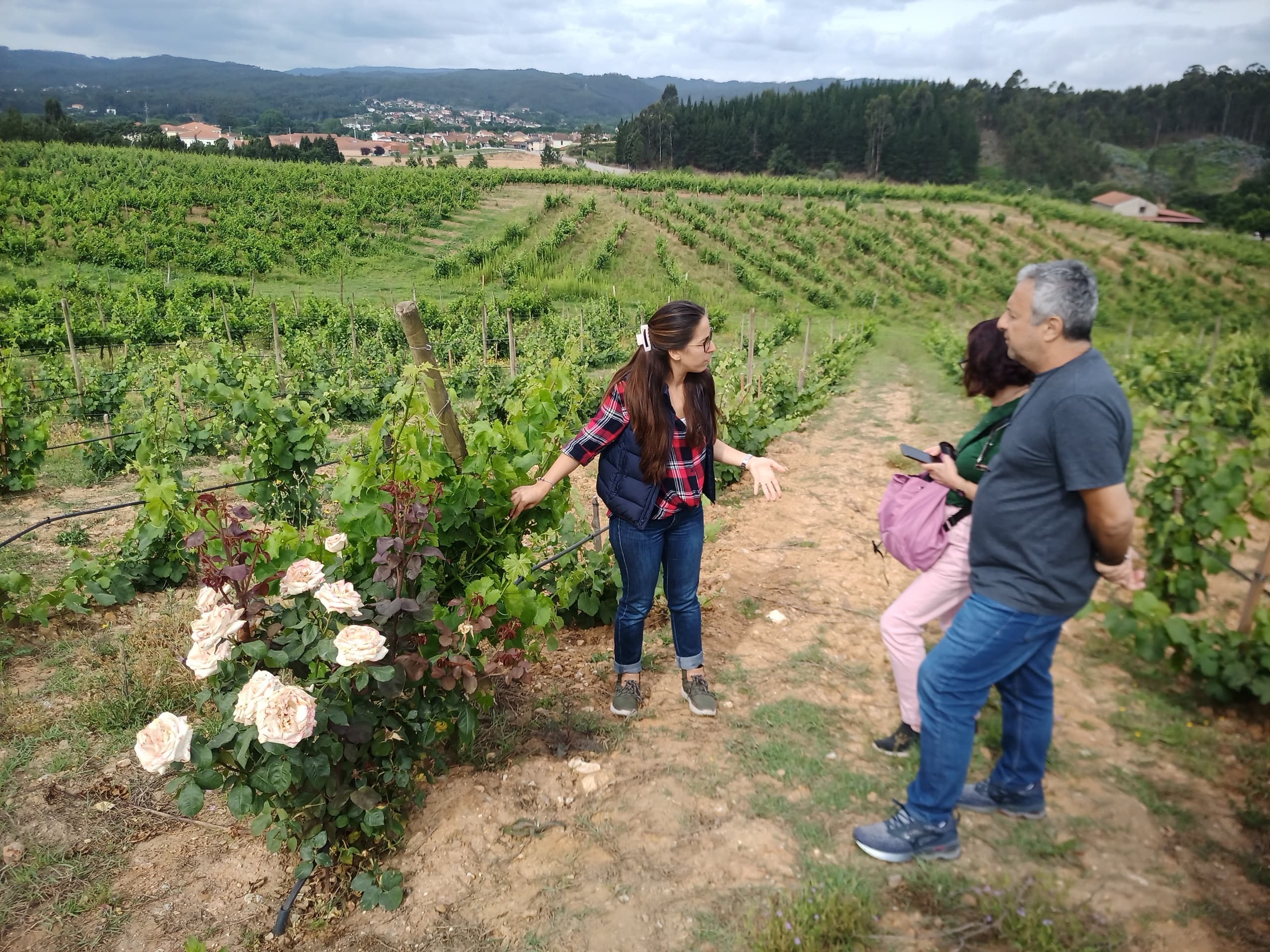 Dão Wine Route Day Trip with Viaje Portugal from Coimbra