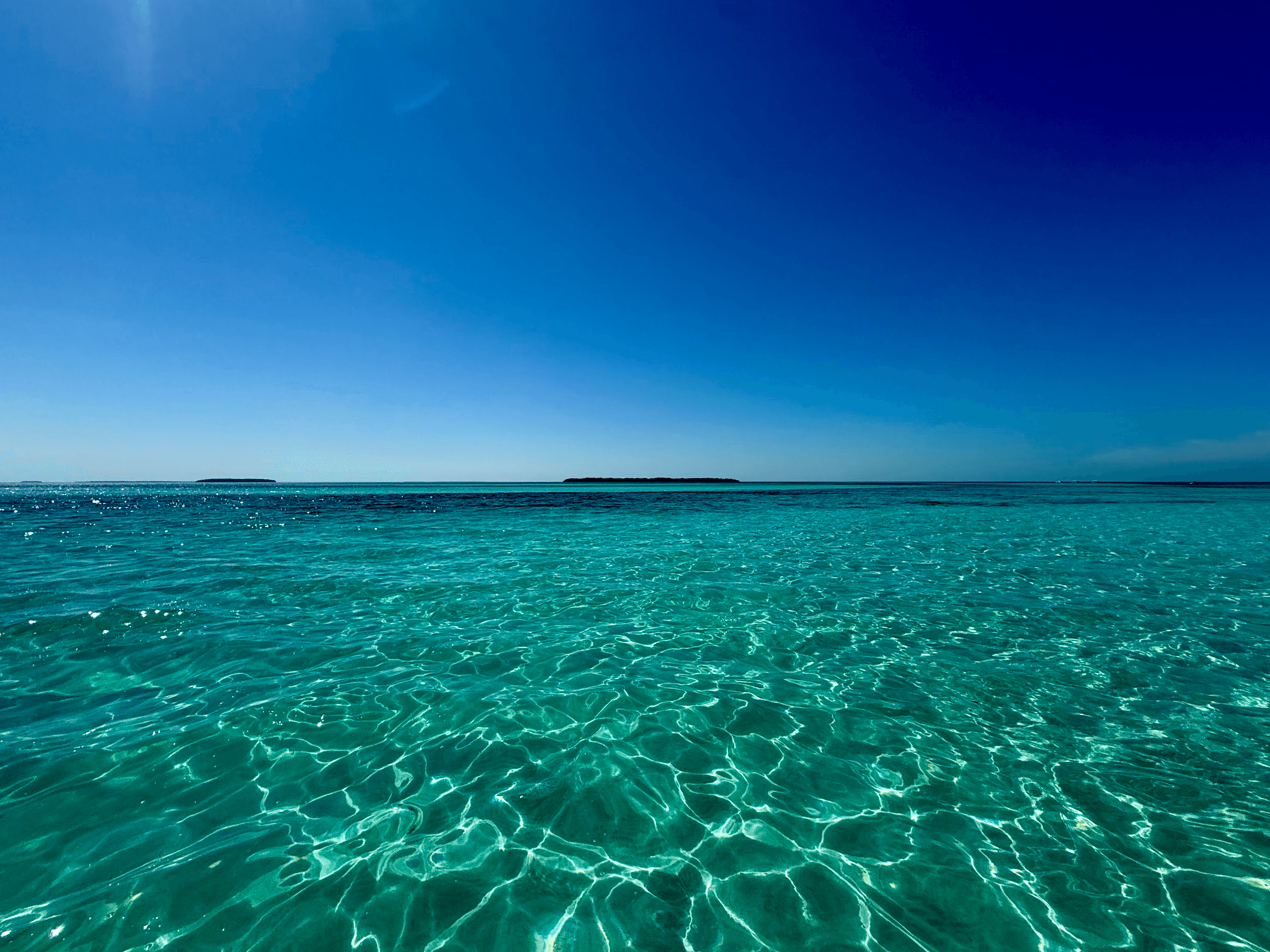 Full Day Sail with Mystic Blue: Private Key West Reefs & Islands Charter photo 2
