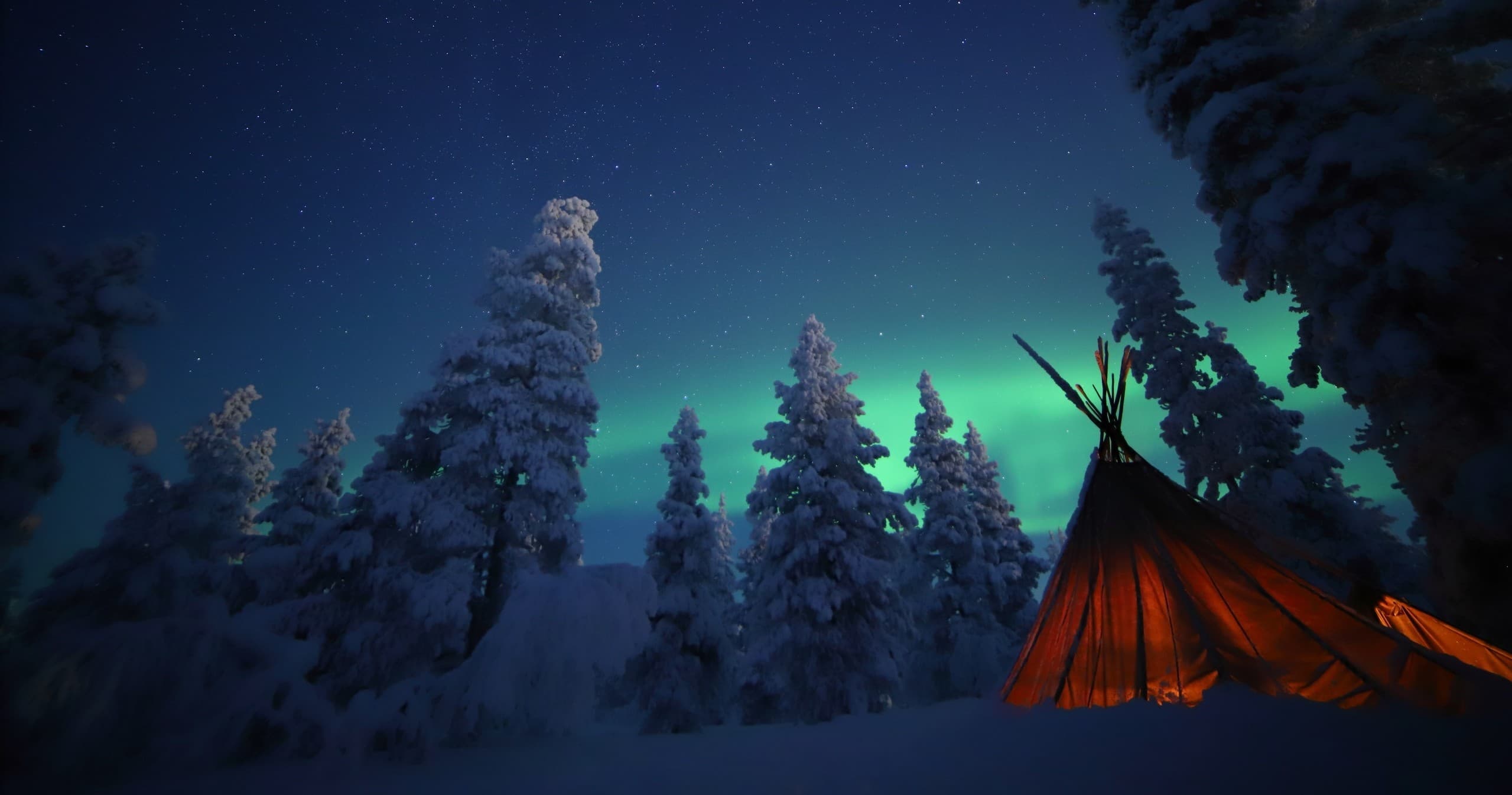 Camping tent silhouetted under northern lights in snowy forest